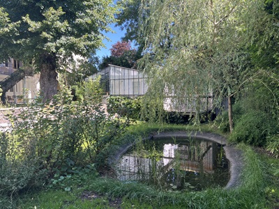 L'étang au bord de l'Allier