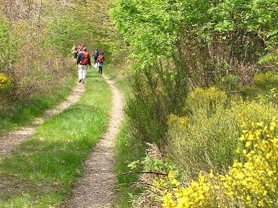 GR70 Stevenson Trail