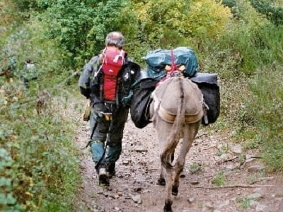 Across the Cévennes with a donkey